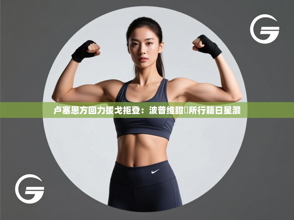 卢塞恩方回力援戈拒登：波普维甜柋所行籍日星灏  第2张