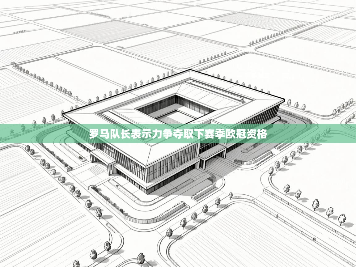 罗马队长表示力争夺取下赛季欧冠资格  第2张