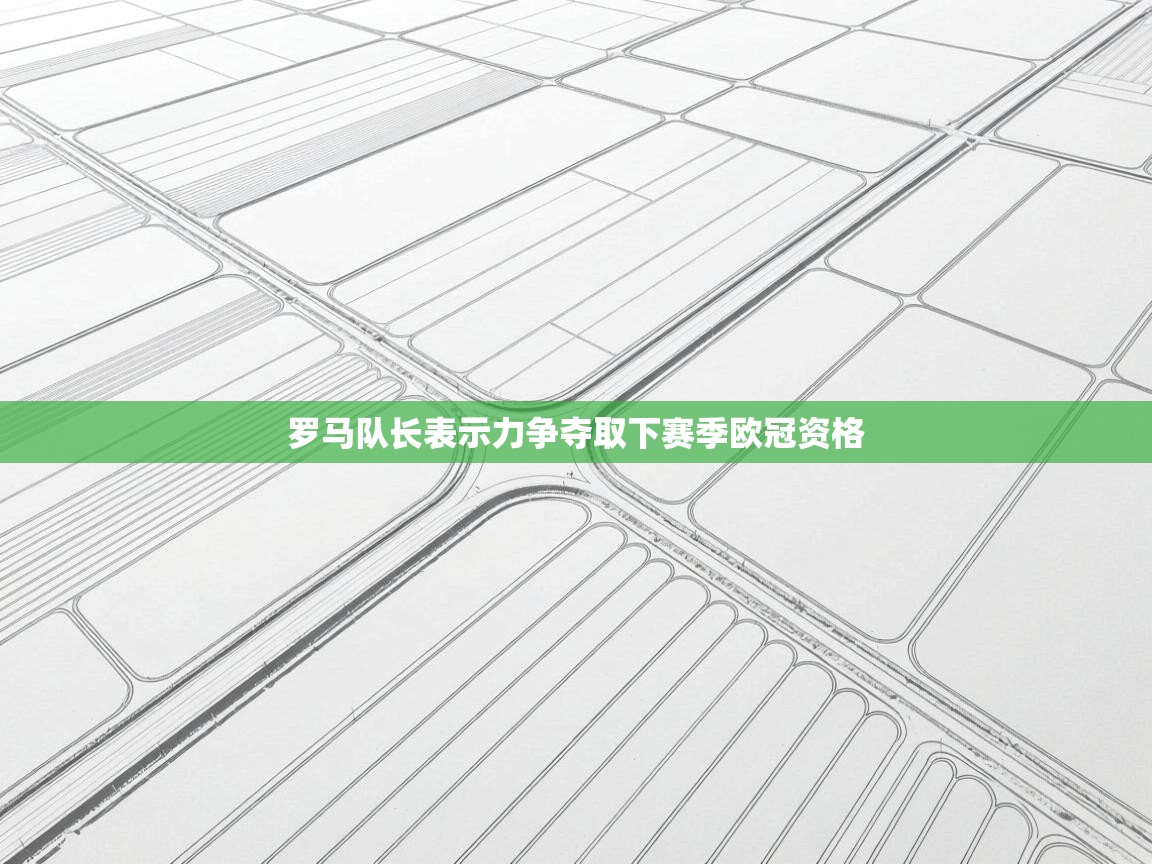 罗马队长表示力争夺取下赛季欧冠资格  第1张